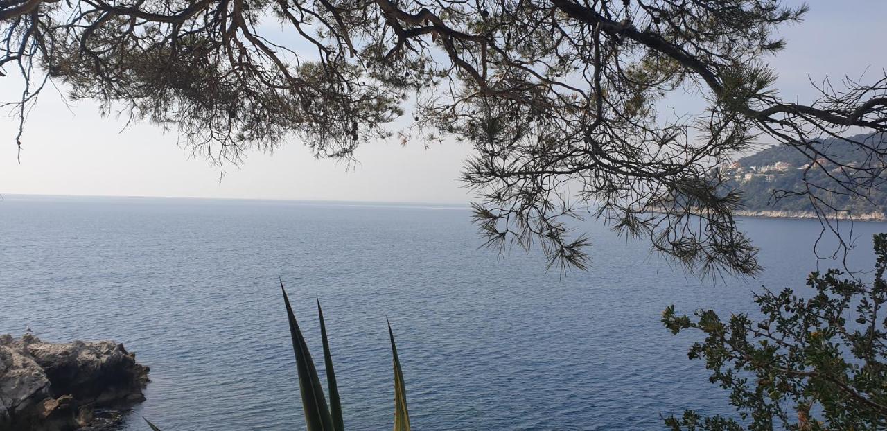 L'apparte Marinoni Classe-climatise-wifi-mer *
